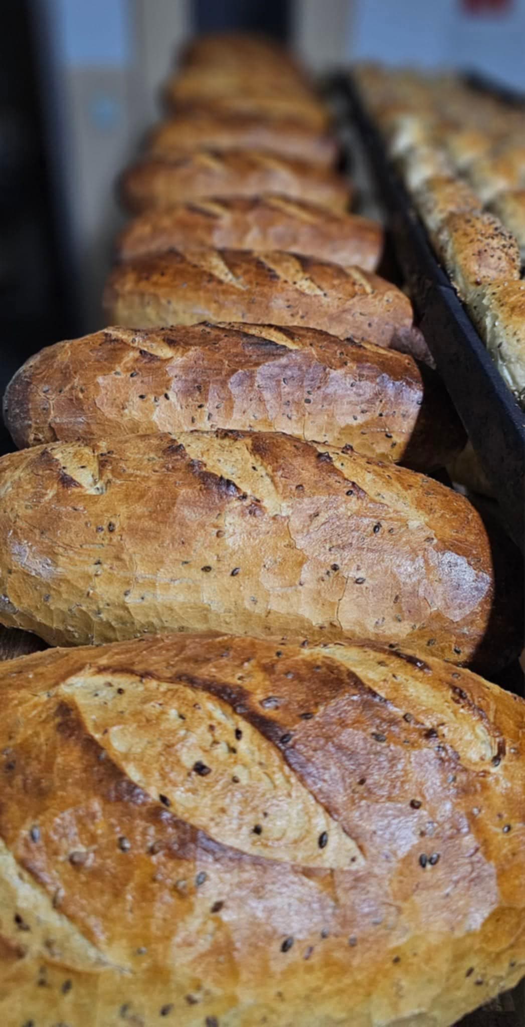 Jedno ze zdjęć przedstawiających naszą spółdzielnie