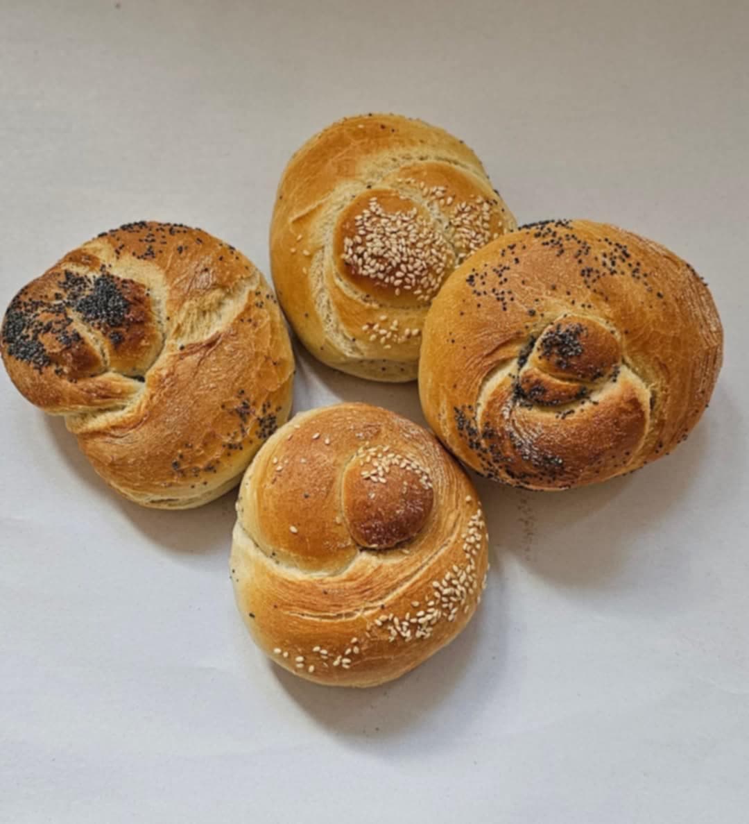 Jedno ze zdjęć przedstawiających naszą spółdzielnie