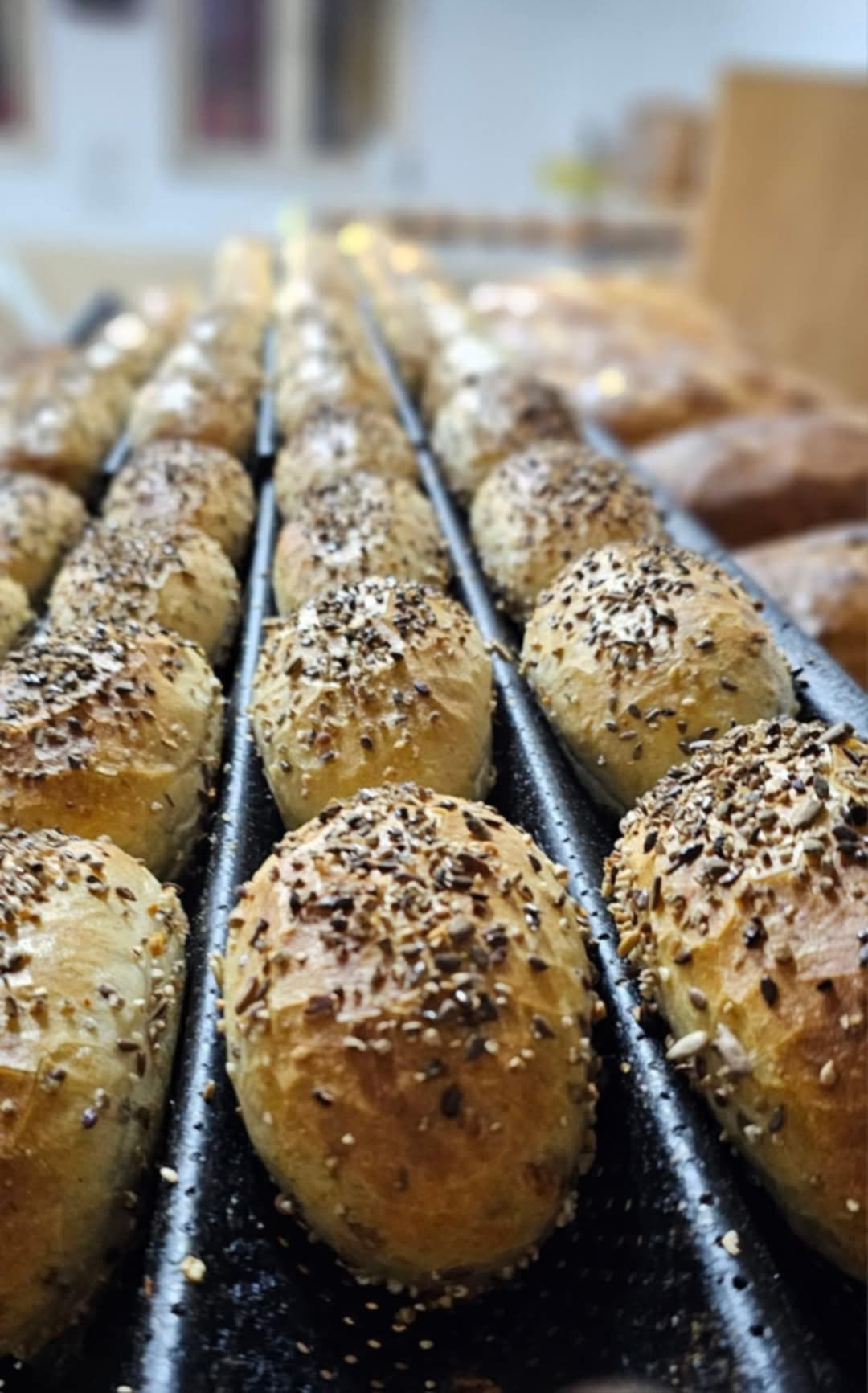 Jedno ze zdjęć przedstawiających naszą spółdzielnie